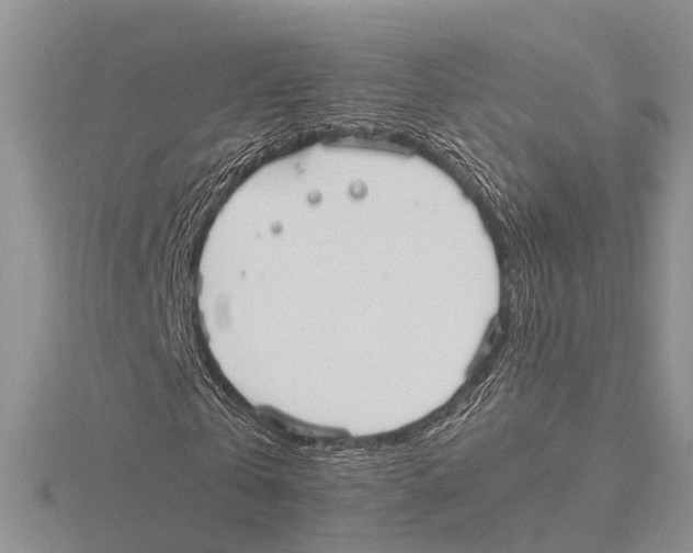 X0000115620769200912081022