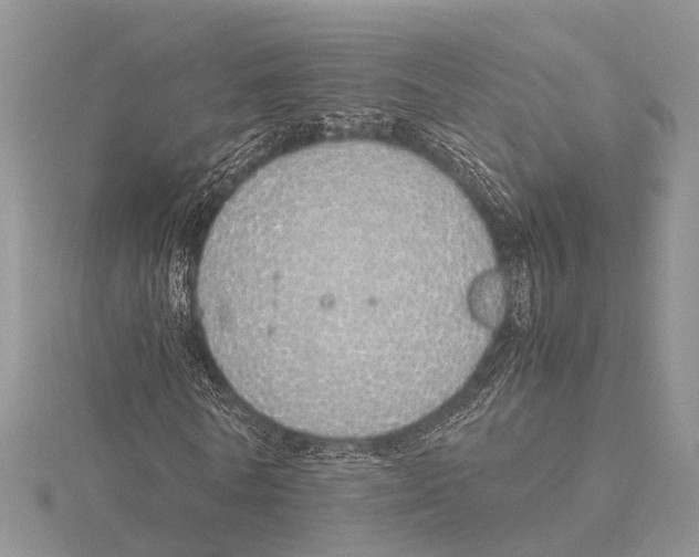 X0000115620770200912081022