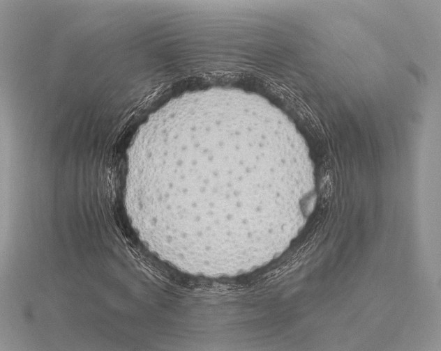 X0000115620772200912081022