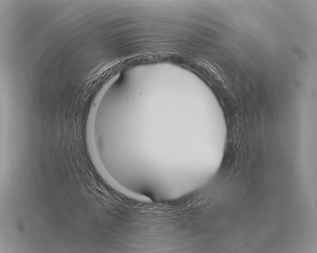 X0000115620773200912081022