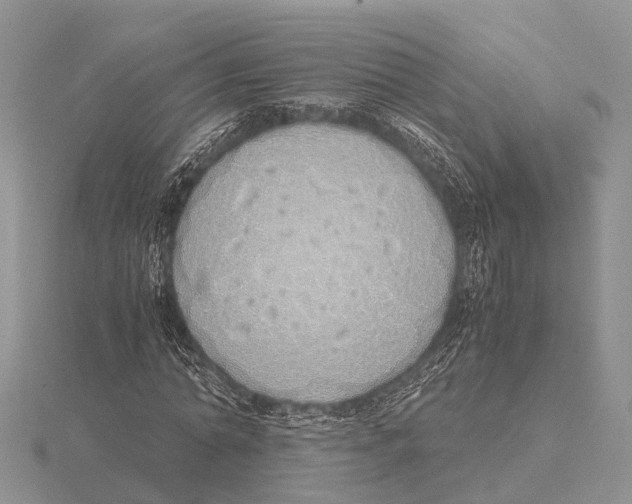 X0000115620774200912081022