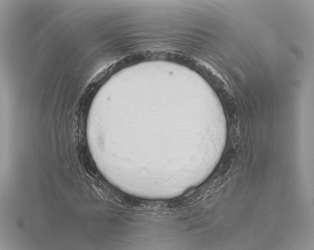 X0000115620775200912081022