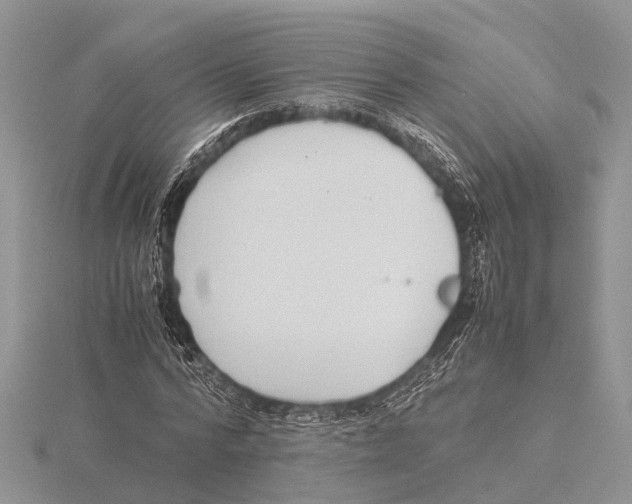 X0000115620776200912081022