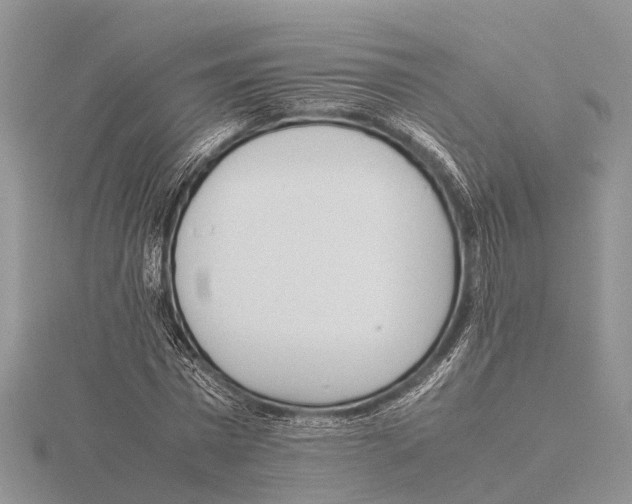 X0000115620777200912081022