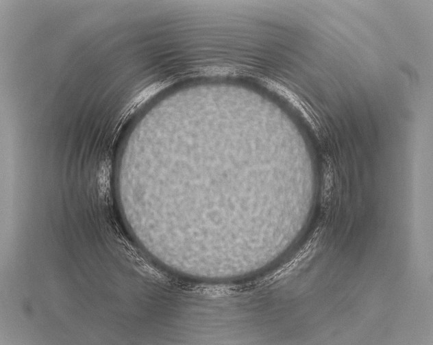 X0000115620778200912081022