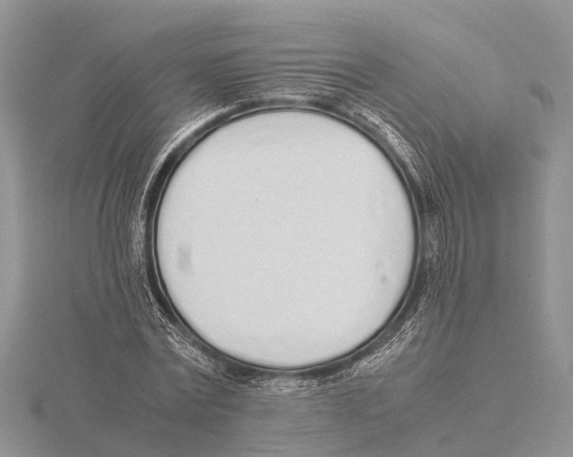 X0000115620779200912081022