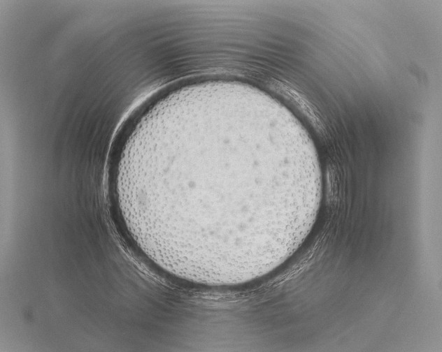 X0000115620780200912081022