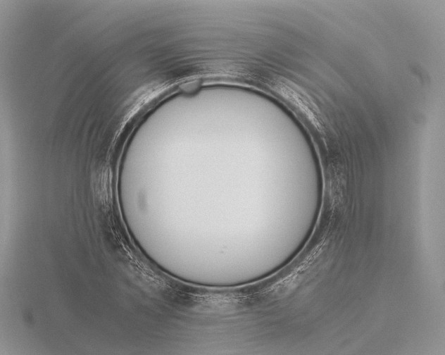 X0000115620781200912081022