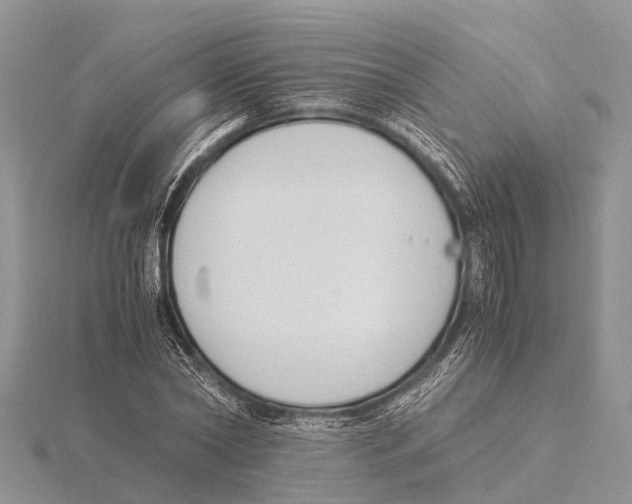 X0000115620782200912081022