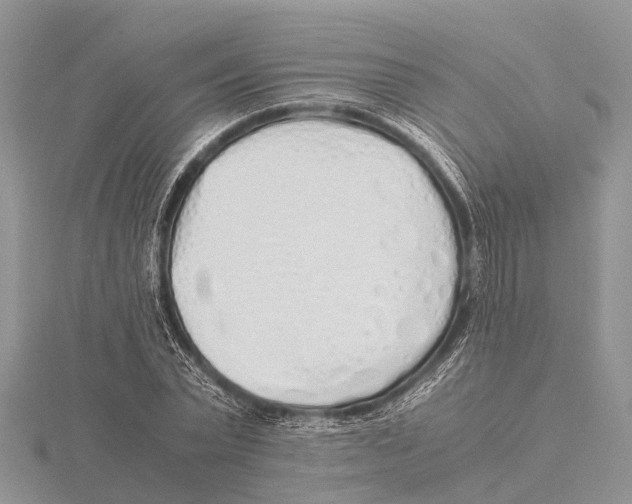 X0000115620783200912081022