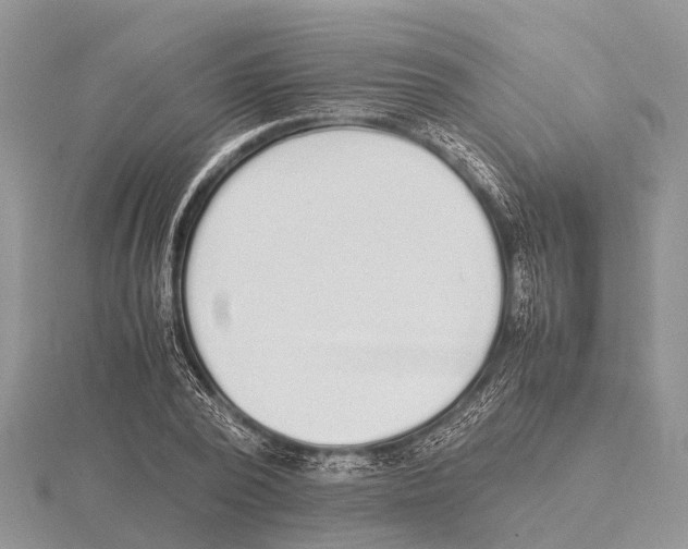 X0000115620784200912081022