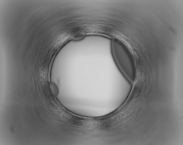 X0000115620785200912081022