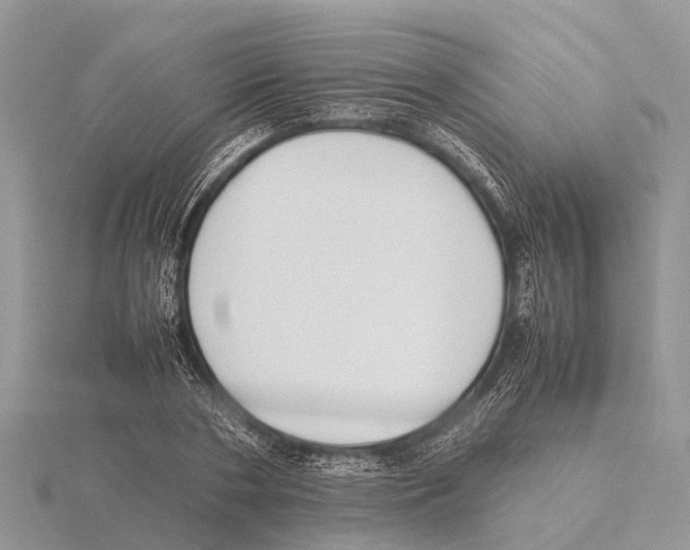 X0000115620786200912081022