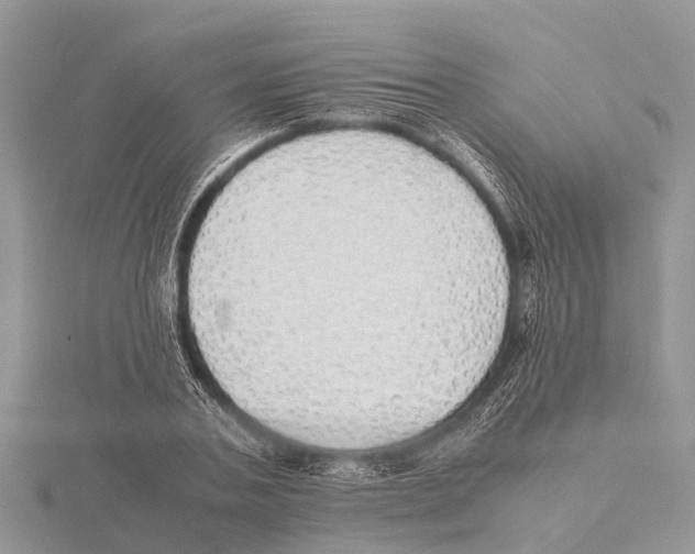 X0000115620787200912081022