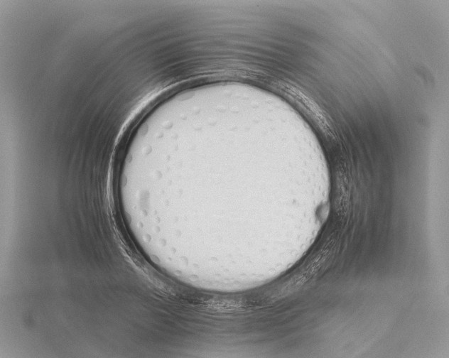 X0000115620788200912081022