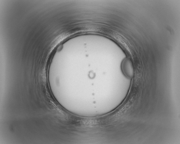 X0000115620789200912081022