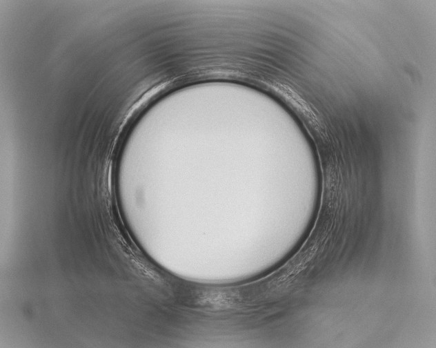 X0000115620790200912081022