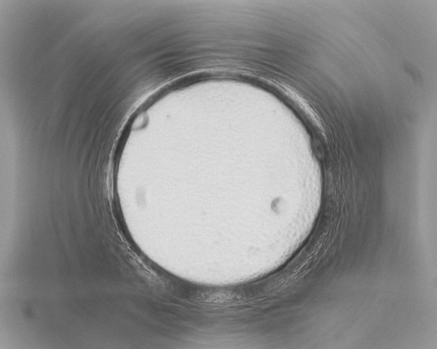 X0000115620791200912081022