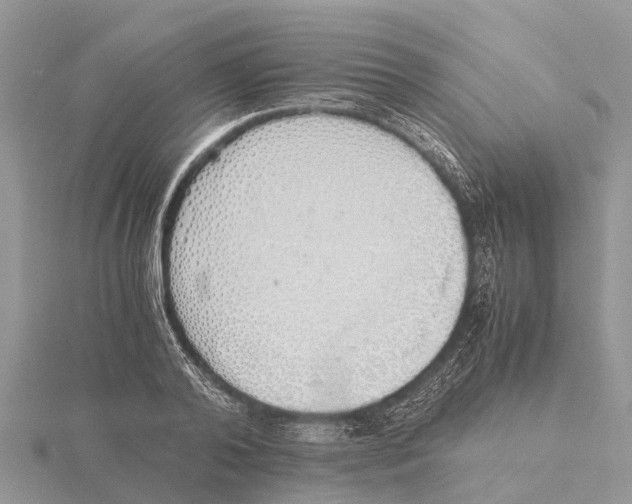 X0000115620792200912081022