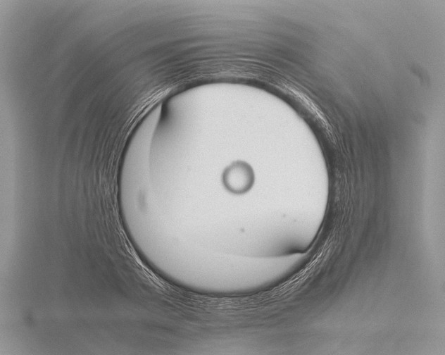 X0000115620793200912081022