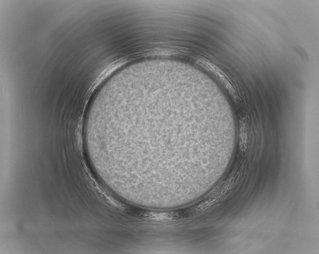 X0000115620794200912081022