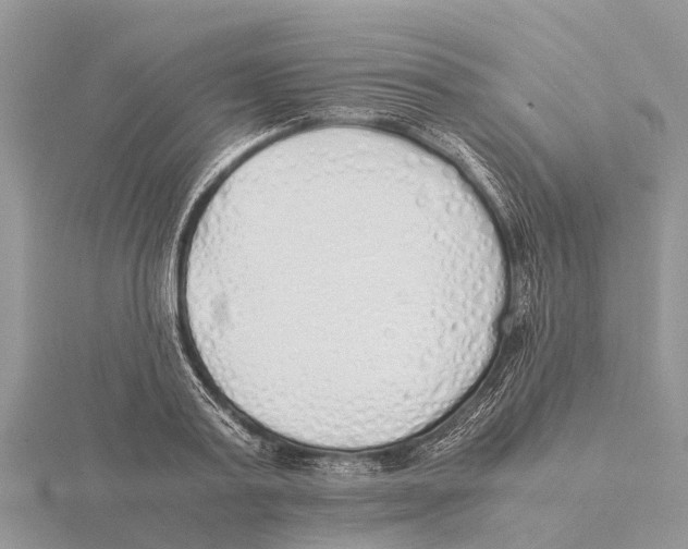 X0000115620795200912081022