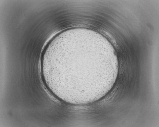 X0000115620796200912081022