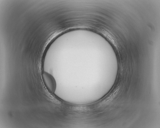 X0000115620797200912081022