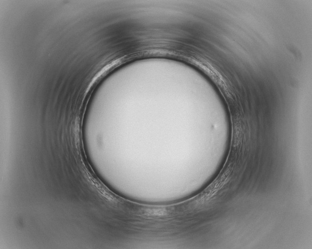 X0000115620798200912081022