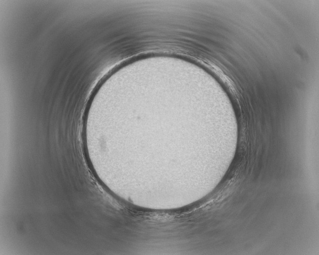 X0000115620799200912081022