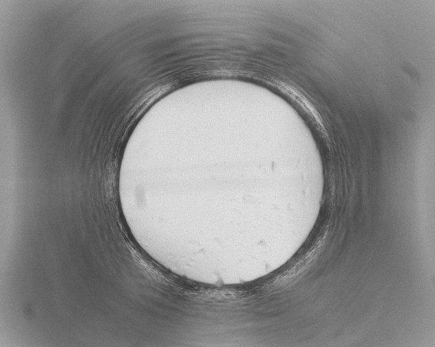 X0000115620801200912081022