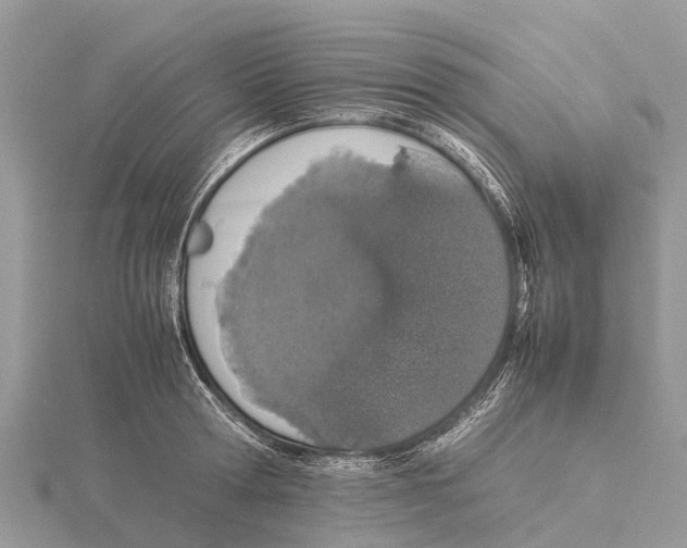 X0000115620802200912081022