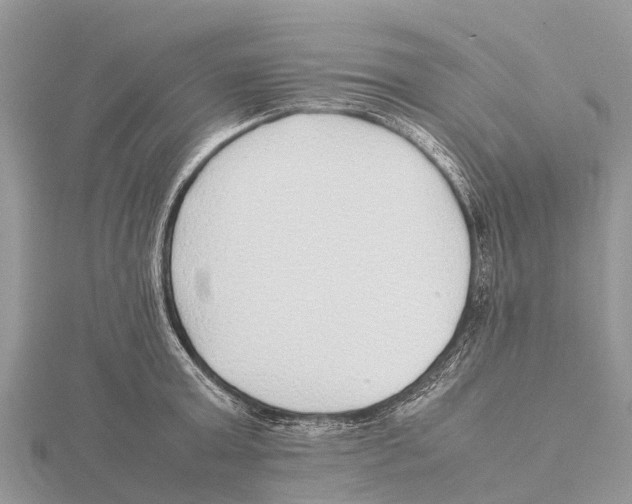 X0000115620803200912081022