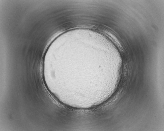 X0000115620804200912081022