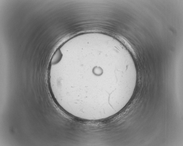 X0000115620805200912081022