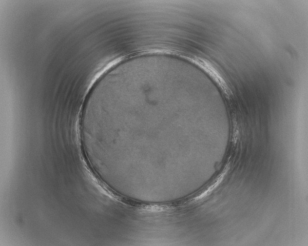 X0000115620806200912081022