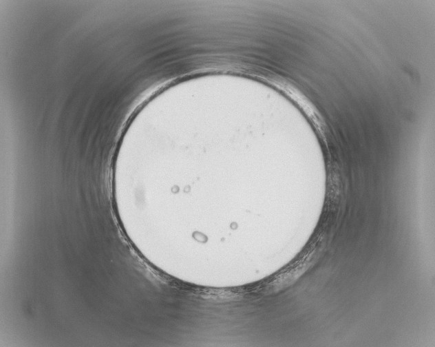 X0000115620807200912081022