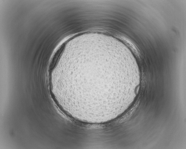 X0000115620808200912081022