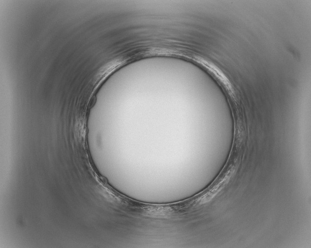 X0000115620809200912081022