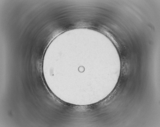 X0000115620810200912081022