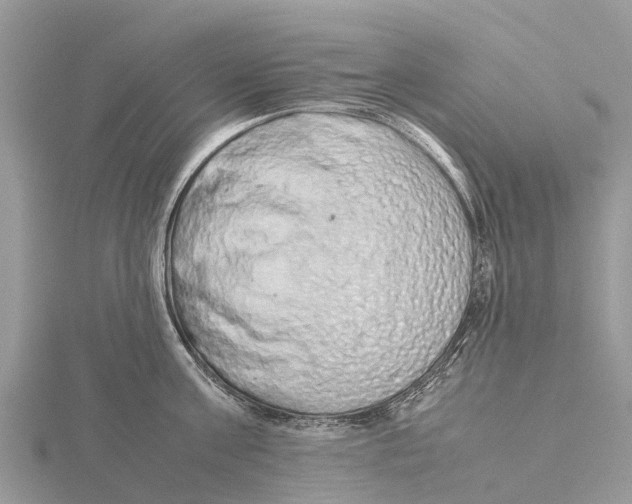 X0000115620811200912081022