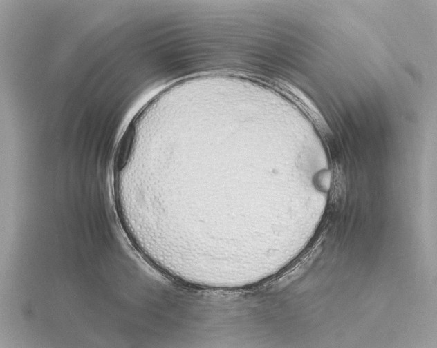 X0000115620812200912081022