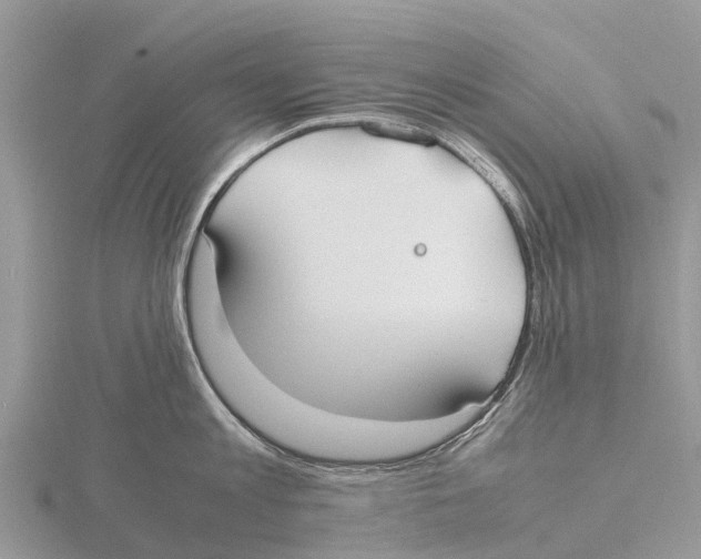 X0000115620813200912081022