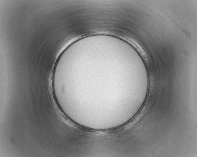 X0000115620814200912081022