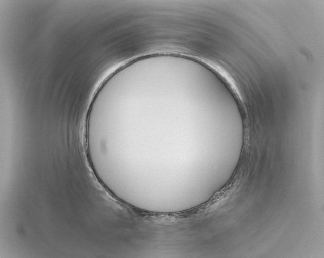 X0000115620815200912081022