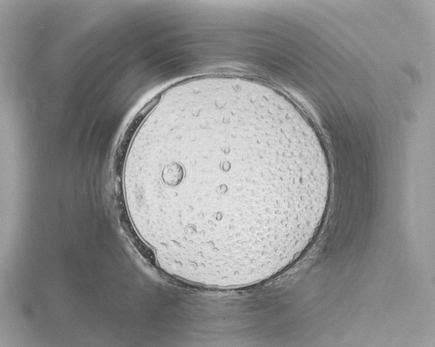 X0000115620816200912081022