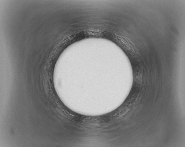 X0000115620817200912081021