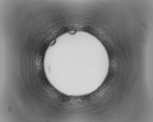 X0000115620818200912081021