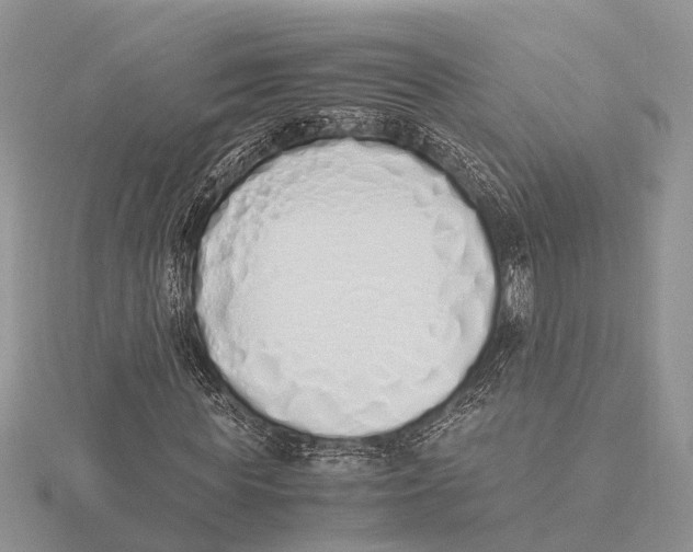 X0000115620819200912081021