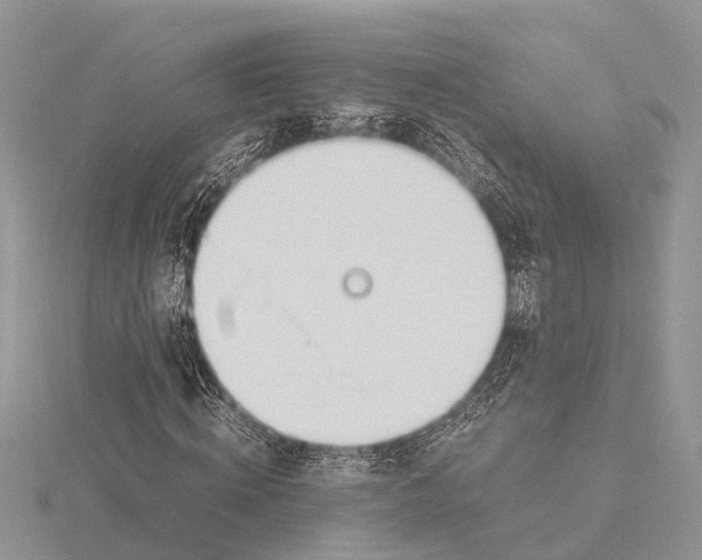 X0000115620820200912081021